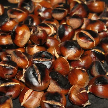 Sette E Mezzo Hotel Castelluccio Superiore