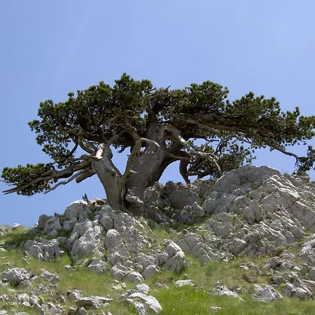 Hotel Sette E Mezzo 3*