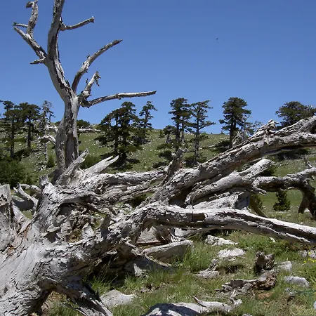 Hotel Sette E Mezzo 3*