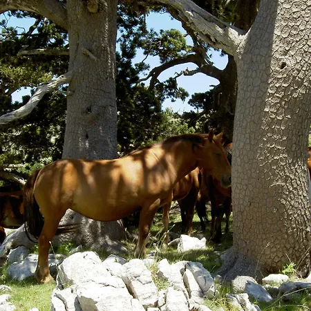 Sette E Mezzo Castelluccio Superiore