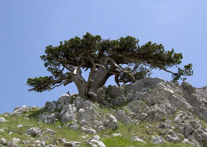 Hotel Sette E Mezzo 3*