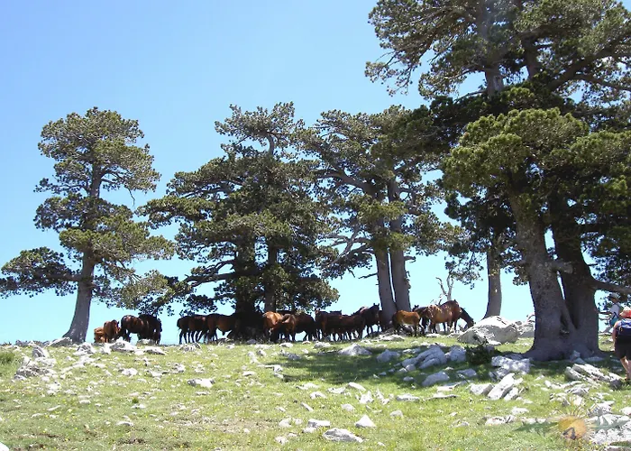 Hotel Sette E Mezzo Castelluccio Superiore