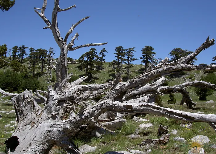 Hotel Sette E Mezzo 3*