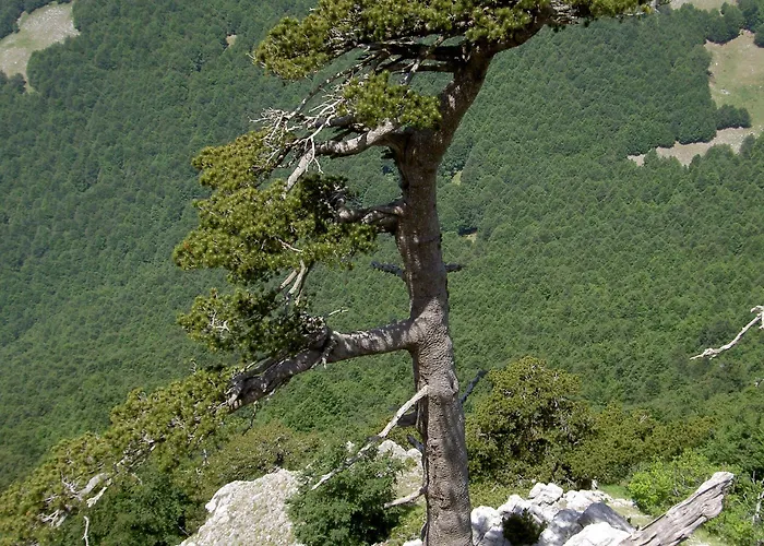 Hotel Sette E Mezzo 3*